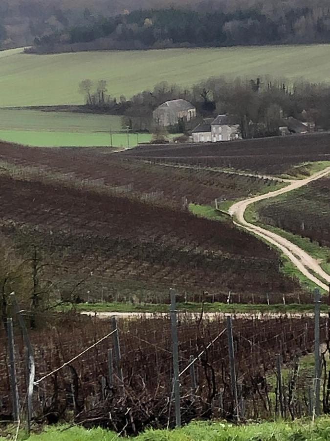 Floressens En Champagne Terrasse Privative Sur Le Vignoble Villa Fleury-la-Riviere Exterior photo
