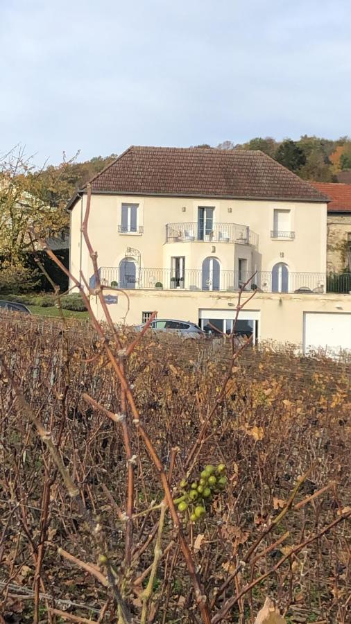 Floressens En Champagne Terrasse Privative Sur Le Vignoble Villa Fleury-la-Riviere Exterior photo