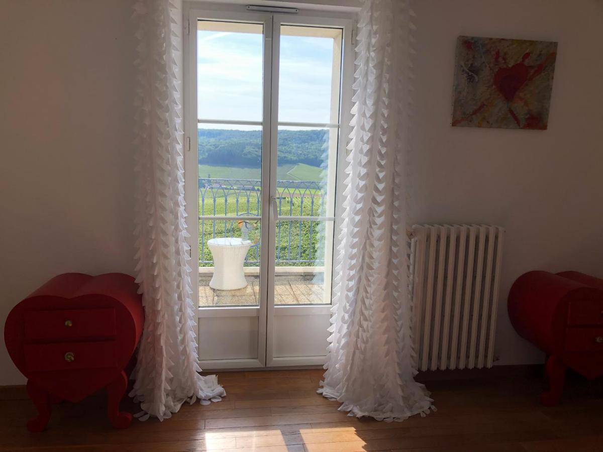 Floressens En Champagne Terrasse Privative Sur Le Vignoble Villa Fleury-la-Riviere Exterior photo