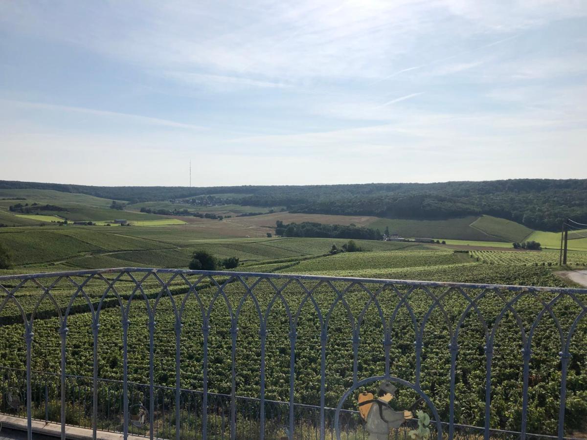 Floressens En Champagne Terrasse Privative Sur Le Vignoble Villa Fleury-la-Riviere Exterior photo