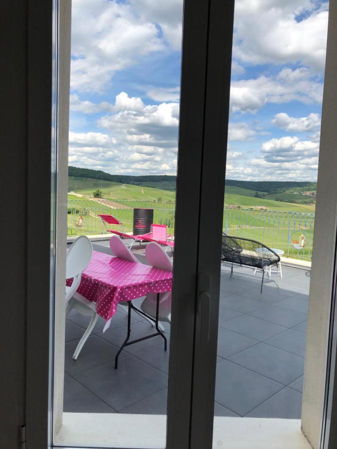 Floressens En Champagne Terrasse Privative Sur Le Vignoble Villa Fleury-la-Riviere Exterior photo