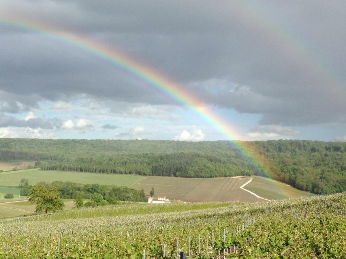Floressens En Champagne Terrasse Privative Sur Le Vignoble Villa Fleury-la-Riviere Exterior photo