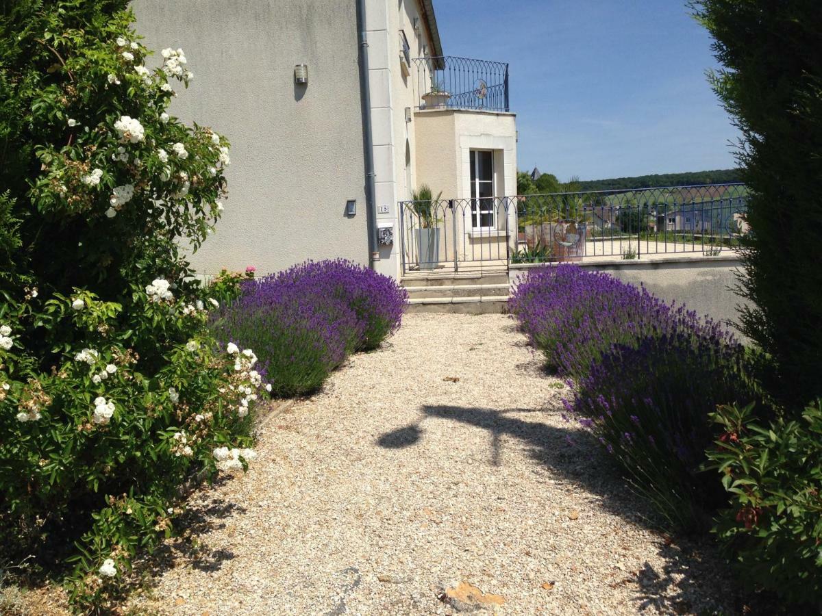 Floressens En Champagne Terrasse Privative Sur Le Vignoble Villa Fleury-la-Riviere Exterior photo