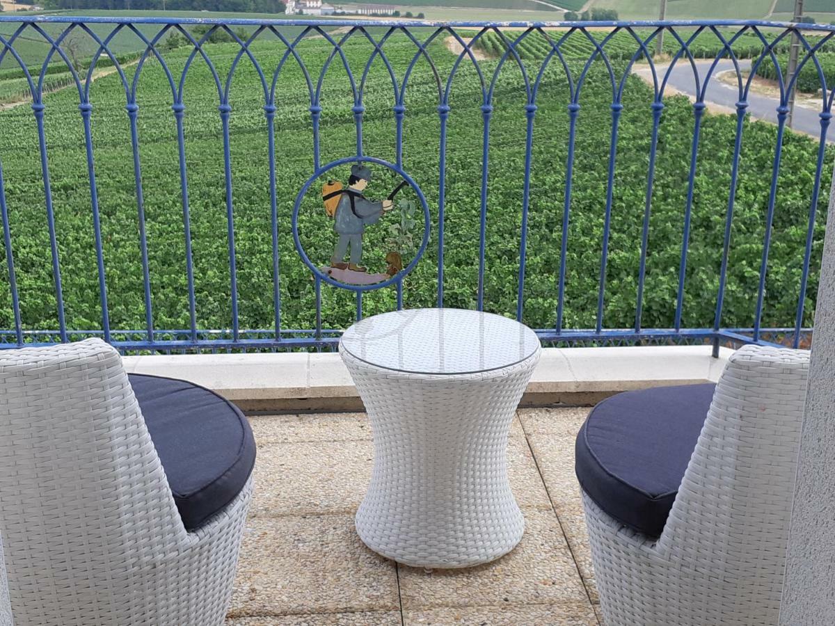 Floressens En Champagne Terrasse Privative Sur Le Vignoble Villa Fleury-la-Riviere Exterior photo